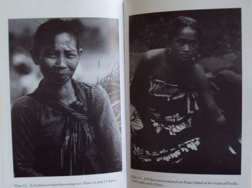 Guns, Germs and Steel - A Short History of Everybody for the Last 13 000 Years Jared Diamond