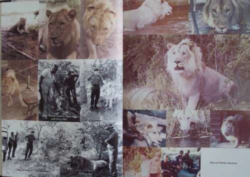 We Fear Naught But God The Pictorial Edition of the South African Special Forces Paul J. Els Signed