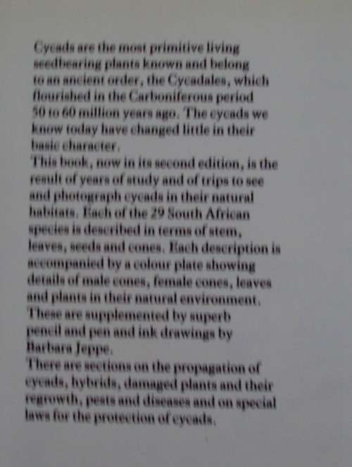 Cycads of South Africa Cynthia Giddy