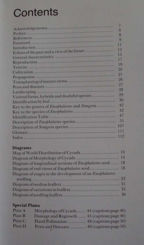 Cycads of South Africa Cynthia Giddy