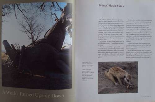 In Search of Remarkable Tress On Safari in Southern Africa Thomas Packenham