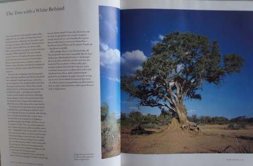 In Search of Remarkable Tress On Safari in Southern Africa Thomas Packenham