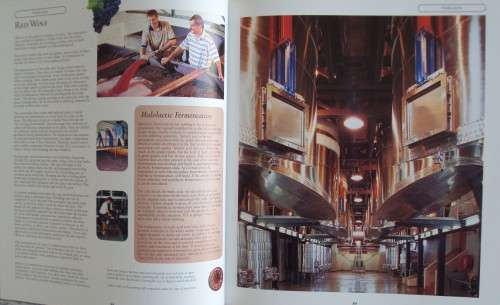 New World of Wine from the Cape of Good Hope The Definitive Guide to the South African Wine Industry