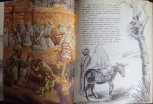 Sunburnt Africa including Sunburnt Sketches More Than Sunburt In Pencil & Prose Ken Cottrell