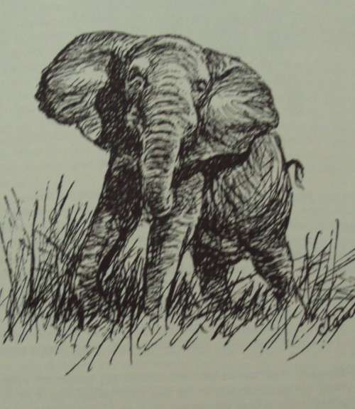 Hunter is Death T V Bulpin