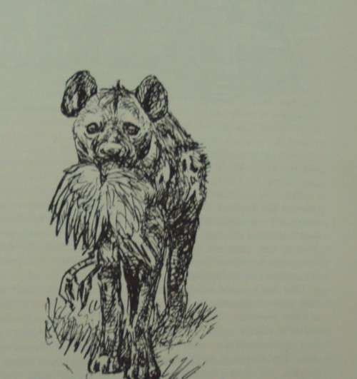 Hunter is Death T V Bulpin