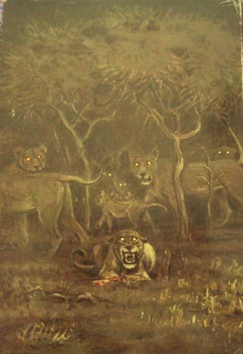 Hunter is Death T V Bulpin