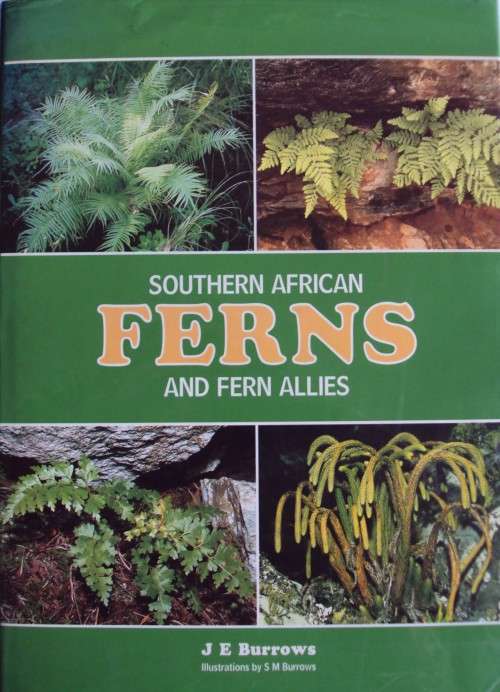 Southern African Ferns And Fern Allies J  E Burrows Illustrations by S M Burrows