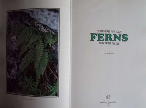 Southern African Ferns And Fern Allies J  E Burrows Illustrations by S M Burrows