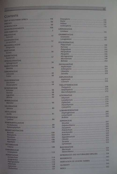 Southern African Ferns And Fern Allies J  E Burrows Illustrations by S M Burrows