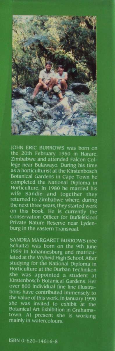 Southern African Ferns And Fern Allies J  E Burrows Illustrations by S M Burrows