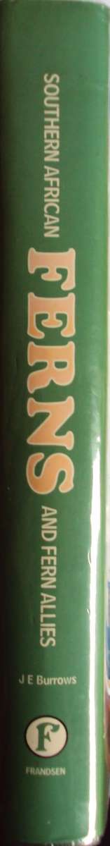 Southern African Ferns And Fern Allies J  E Burrows Illustrations by S M Burrows