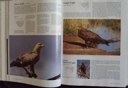 Complete Book of Southern African Birds P J Ginn W G McIlleron P le Milsteinn (Illustrated boxed)