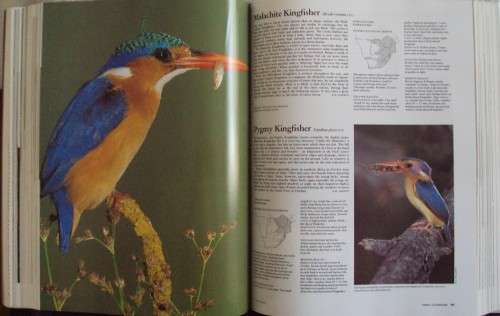 Complete Book of Southern African Birds P J Ginn W G McIlleron P le Milsteinn (Illustrated boxed)