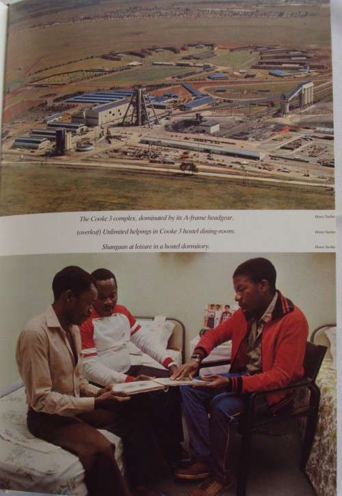 Randfontein Estates The First Hundred Years Anthony Hocking