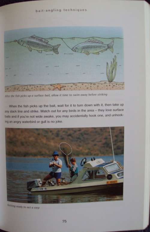 Freshwater Fishing in South Africa Sean Mills