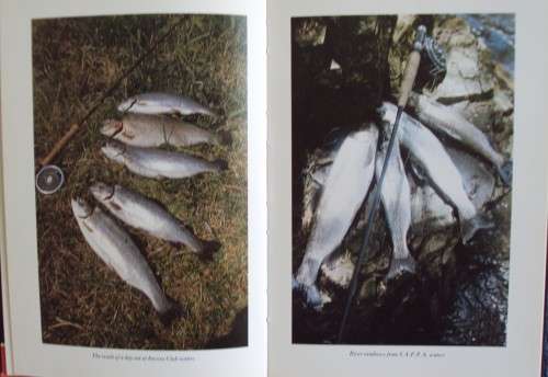 Trout Trails Revisited  Malcolm Meintjies