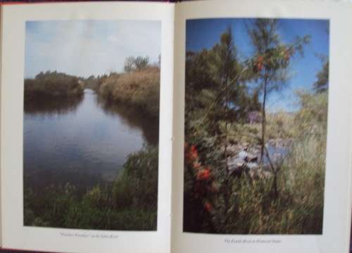 Trout Trails Revisited  Malcolm Meintjies