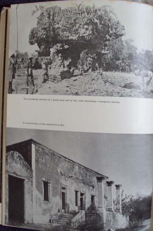 High Tide Prof J L B Smith