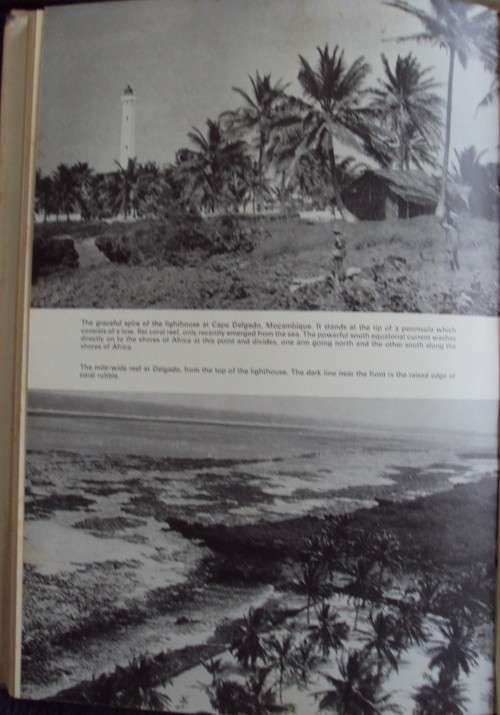 High Tide Prof J L B Smith