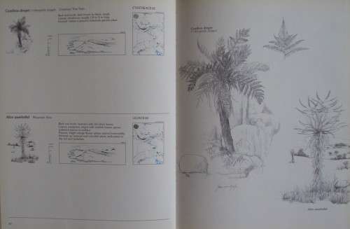 Trees & Shrubs Of The Witwatersrand, Magaliesberg & Pilanesberg: Joan van Gogh & Joh Anderson