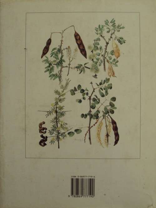 Trees & Shrubs Of The Witwatersrand, Magaliesberg & Pilanesberg: Joan van Gogh & Joh Anderson