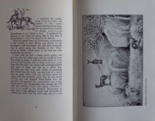 Memories of a Game Ranger  Harry Wolhuter