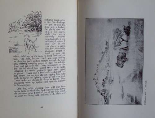 Memories of a Game Ranger  Harry Wolhuter