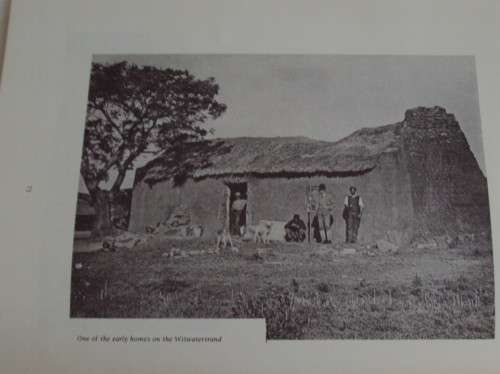 Golden Days Harry Zeederberg