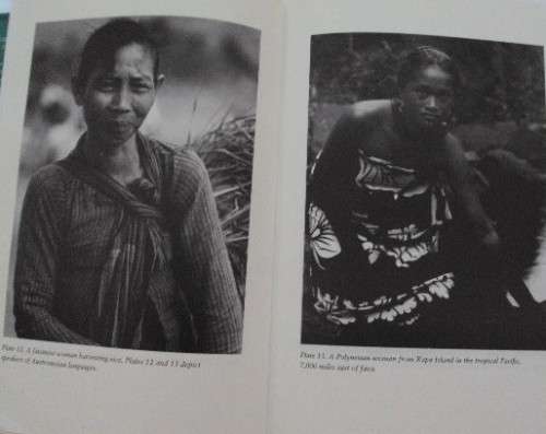 Guns, Germs and Steel A Short History of Everybody for the Last 13,000 Years  Jared Diamond