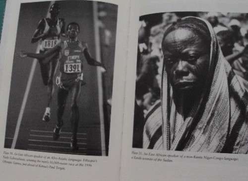 Guns, Germs and Steel A Short History of Everybody for the Last 13,000 Years  Jared Diamond