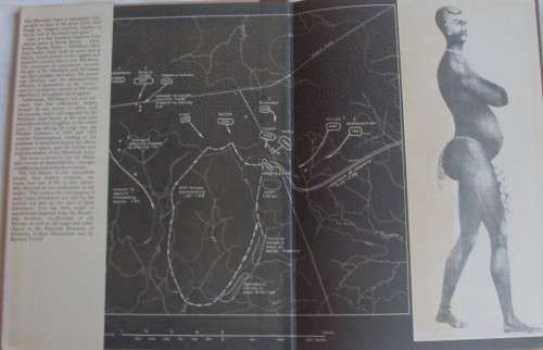 The Warriors Arthurs Summers & C W Pagden