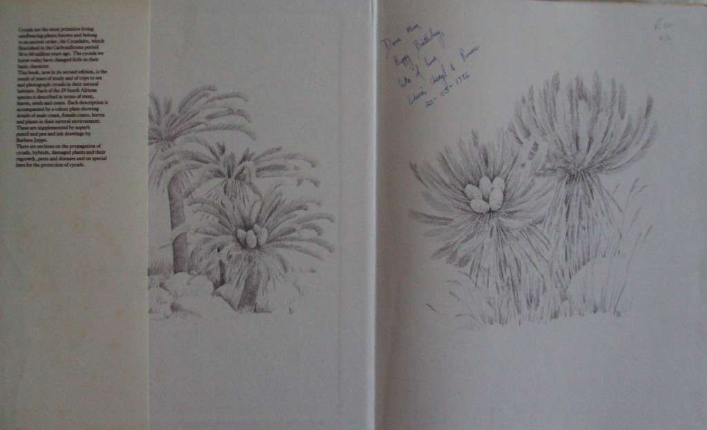 Cycads of South Africa Cynthia Giddy