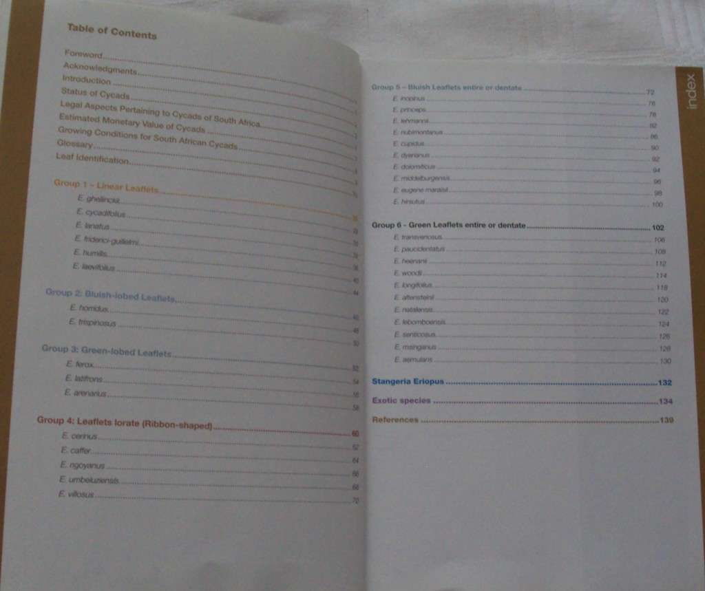 Identification of Indigenous Cycads of South Africa  Corina Hugo