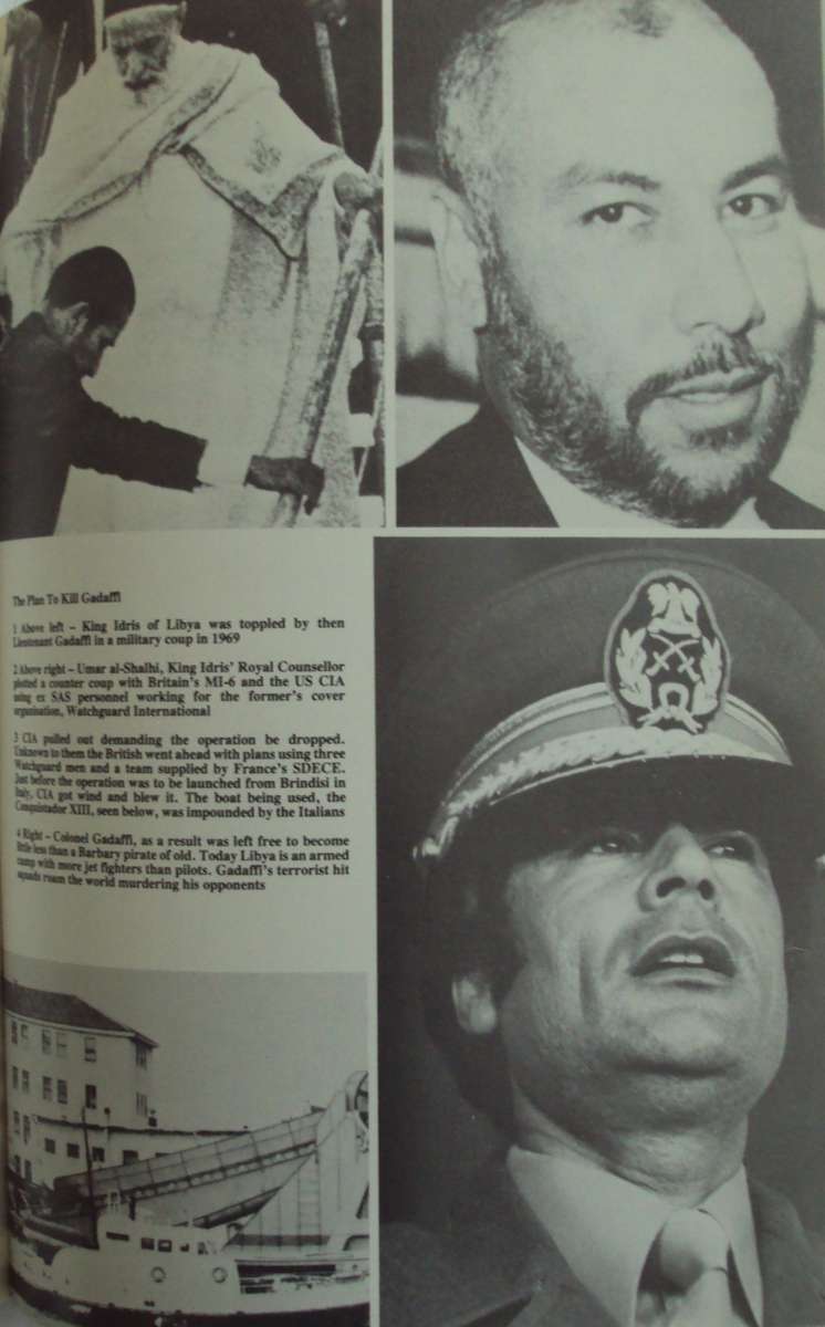 See You In November Rhodesias No Holds Barred Intelligence War Peter Stiff