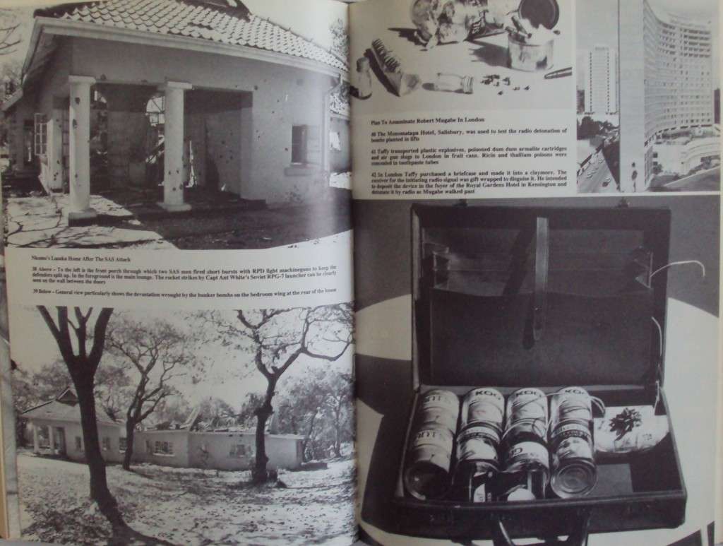 See You In November Rhodesias No Holds Barred Intelligence War Peter Stiff