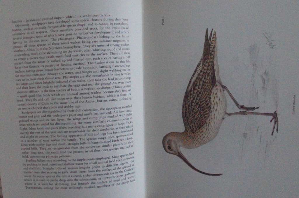 The Birds of Southern Africa  laude Gibney Finch-Davies & Dr Alan Kemp