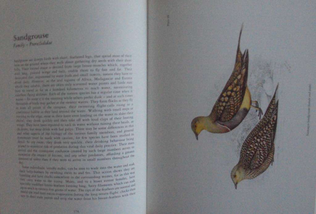 The Birds of Southern Africa  laude Gibney Finch-Davies & Dr Alan Kemp