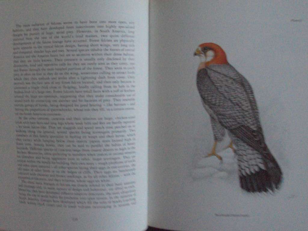 The Birds of Southern Africa  laude Gibney Finch-Davies & Dr Alan Kemp