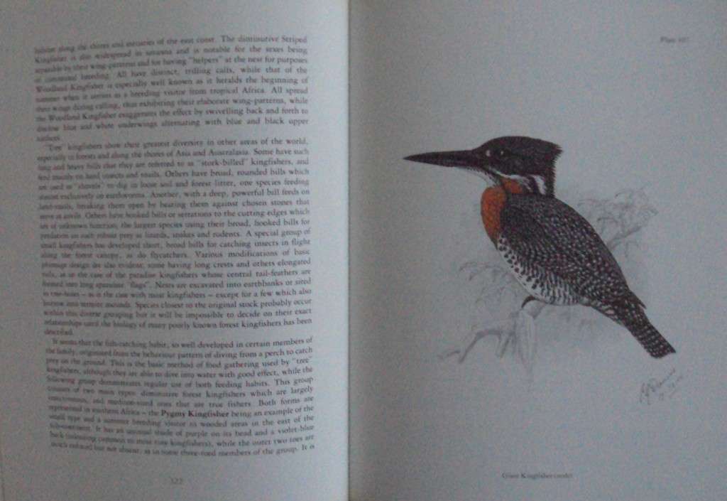 The Birds of Southern Africa  laude Gibney Finch-Davies & Dr Alan Kemp