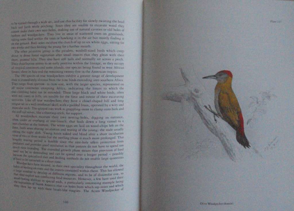 The Birds of Southern Africa  laude Gibney Finch-Davies & Dr Alan Kemp