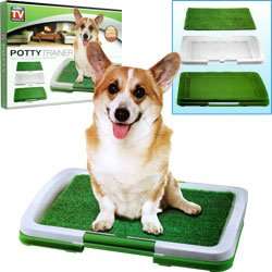 Puppy Potty Training Pad  \  Clever Pet Training Pad