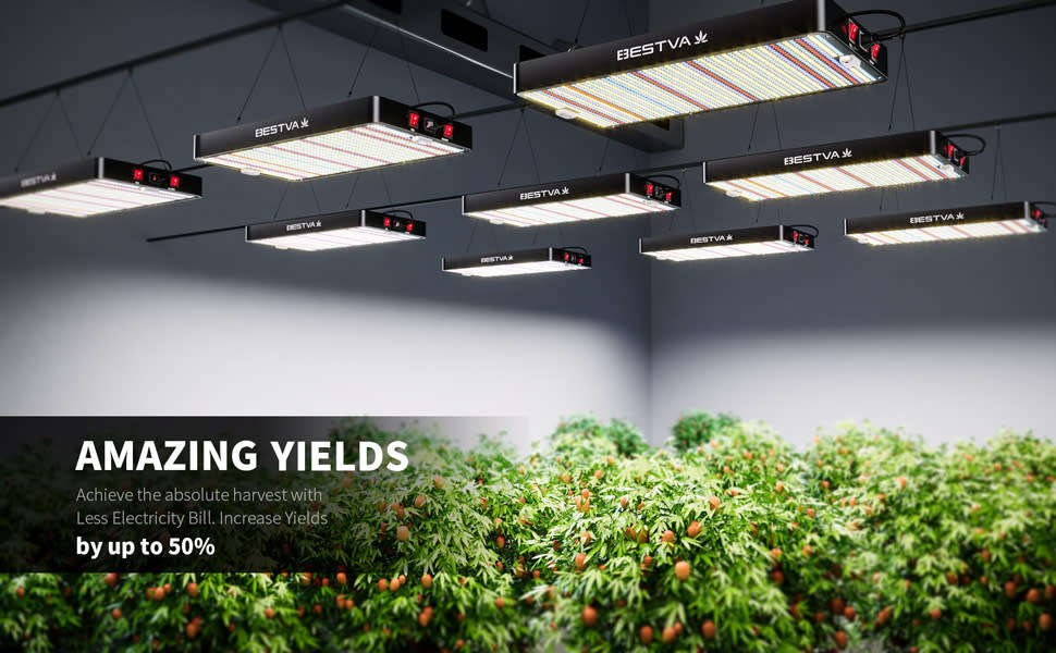 BESTVA 2000W Full Spectrum LED Grow Light