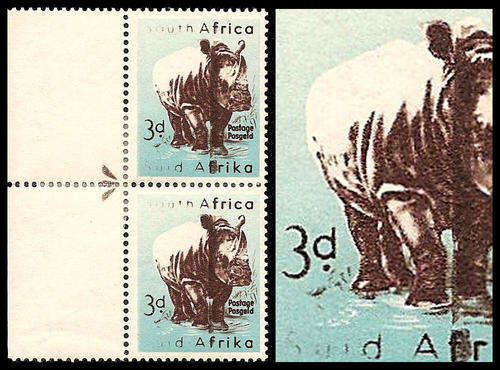 White Rhino Variety.  RARE!  Fine condition.  Free shipping.