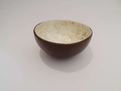 Lacquered Coconut Shell Bowl Beige/Cream