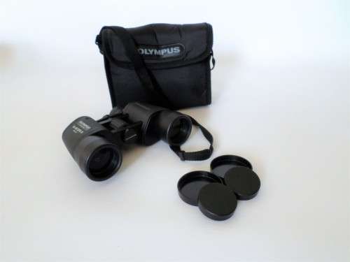 Olympus 8x40 DPS R Binoculars