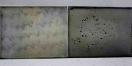 17 Vintage Private Collection "Odd" Magic Lantern Photograph Slides c1930's - 8,5cm/11cm