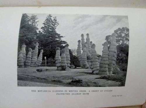 A Journal From Japan:Daily Record Of Life As Seen By A Scientist- Marie C Stopes- Blackie & Son,1920