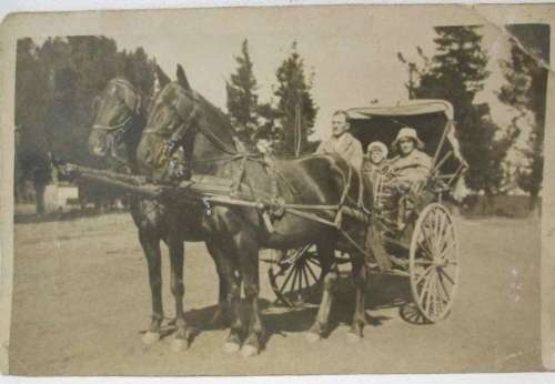 Old Postcard Depicting Horse Drawn Cart