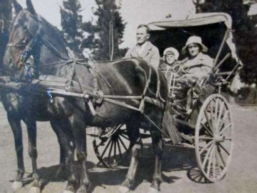 Old Postcard Depicting Horse Drawn Cart